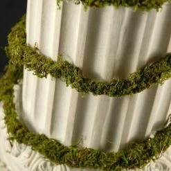 Richland Preserved Moss Vine 6ft Christmas