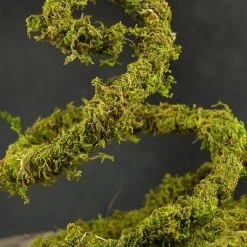 Richland Preserved Moss Vine 6ft Christmas