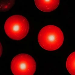 Richland Red Fairy Berries (pack Of 10) LED Light Orbs