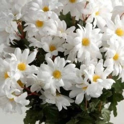 Richland Silk White Daisies Bouquet (72 Flowers)