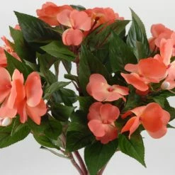 Richland Coral Impatiens Flowers
