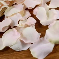 Richland Shop By Event Silk Rose Petals Pale Pink