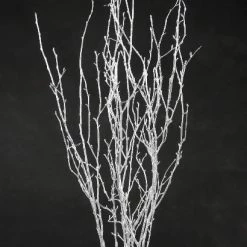Richland Anniversary Silver Birch Tree Branches 3-4 Ft (4 Branches)