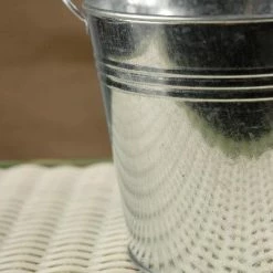 Richland Galvanized Metal Pail With Liner 5.5in