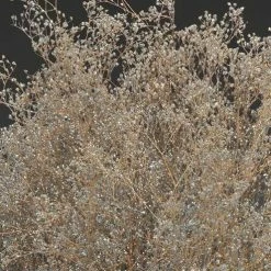 Richland Silver Sparkle Preserved Baby's Breath Branches 24in 4oz Bundle Anniversary