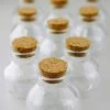 Richland Small Glass Bottles With Cork 2.75in (Pack Of 10)