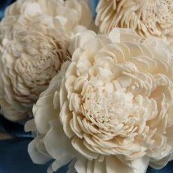 Richland Fall Sola Flowers On Wired Stems Set Of 3