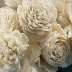 Richland 10 Sola Flowers On Wire Stems