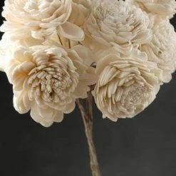 Richland 10 Sola Flowers On Wire Stems