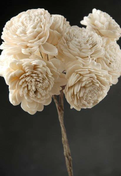 Richland 10 Sola Flowers On Wire Stems 2 Richland 10 Sola Flowers On Wire Stems