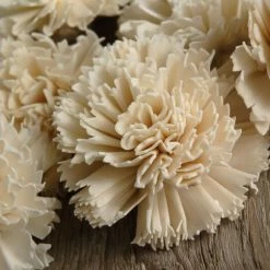 Richland Sola Flower Carnations  (12 Flowers)