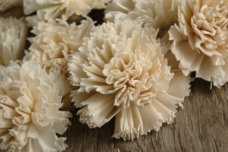 Richland Sola Flower Carnations (12 Flowers) 2 Richland Sola Flower Carnations (12 Flowers)