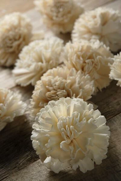 Richland Sola Flower Carnations (12 Flowers) 1 Richland Sola Flower Carnations (12 Flowers)