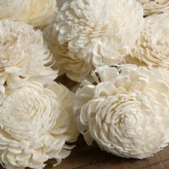Richland Seasonal Parties Sola Flowers 2-2.5" Cream White Chorki (12 Flowers)