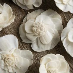 Richland Sola Flowers Proteas (pack Of 18) Seasonal Parties