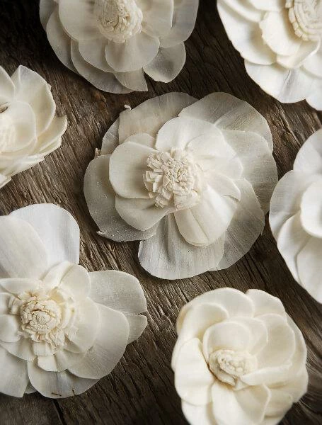 Richland Sola Flowers Proteas (pack Of 18) Seasonal Parties 1 Richland Sola Flowers Proteas (pack Of 18) Seasonal Parties