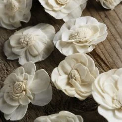 Richland Sola Flowers Proteas (pack Of 18) Seasonal Parties