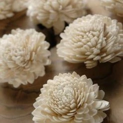 Richland Sola Flowers Zinnias 12 Flowers 2.25" Wide Fall