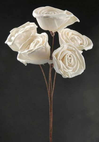Richland White Sola Roses Wired Stems 5 Flowers 1 Richland White Sola Roses Wired Stems 5 Flowers