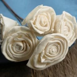 Richland White Sola Roses Wired Stems 5 Flowers