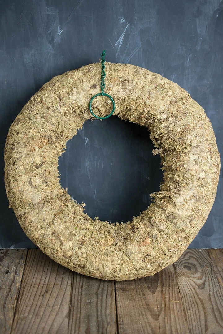 Richland Sphagnum Moss Living Wreath 16 Inch Seasonal Parties 1 Richland Sphagnum Moss Living Wreath 16 Inch Seasonal Parties