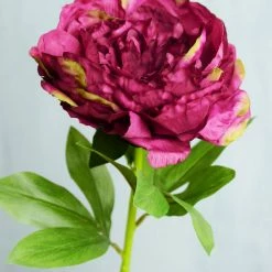 Save-On-Crafts Flowers Cerise Silk Peonies