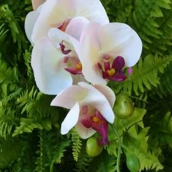Richland Phalaenopsis Orchid Spray In Cream With Pink & Purple Highlights - 33" Tall Fall