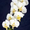 Richland White Phalaenopsis Hanging Orchids 40" Seasonal Parties