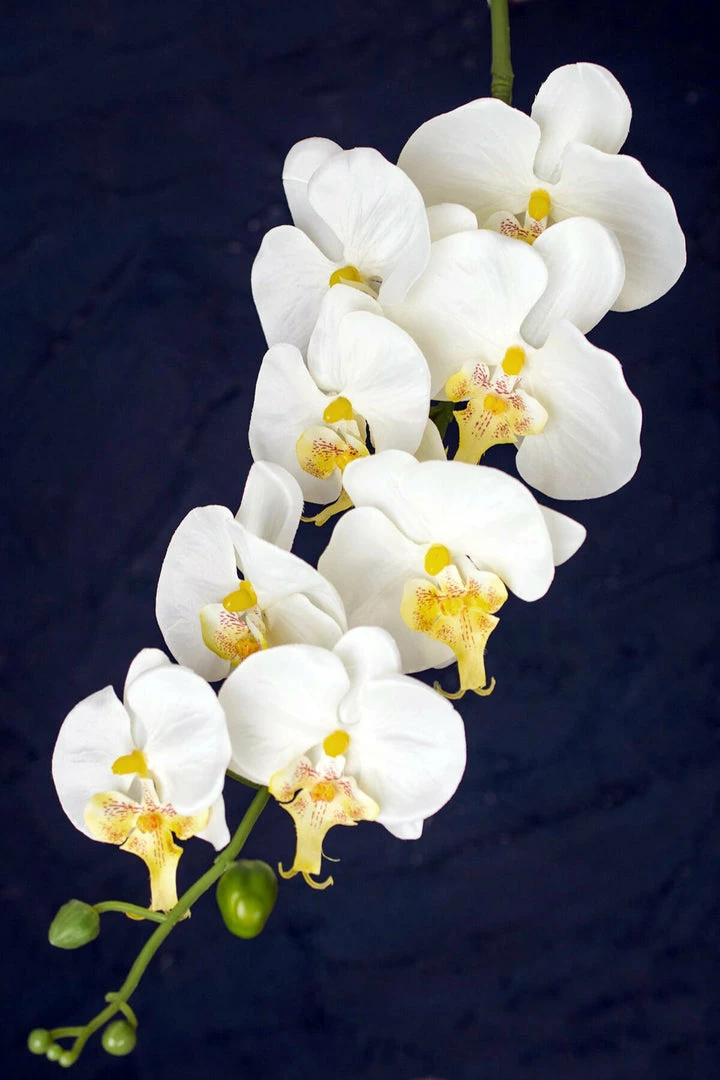 Richland White Phalaenopsis Hanging Orchids 40" Seasonal Parties 1 Richland White Phalaenopsis Hanging Orchids 40" Seasonal Parties