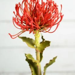 Richland Artificial Protea Flower Red & Orange