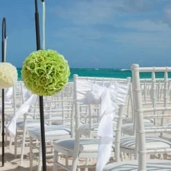 Richland Adjustable Black Iron Shepherds Hook 34