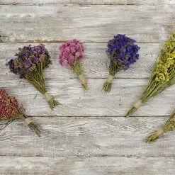 Richland Preserved Purple Statice Bouquet 10-14in 4oz Naturals & Florals