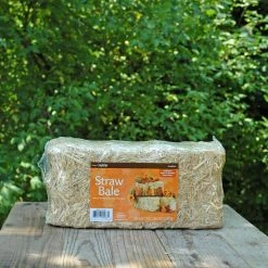 Richland Straw Bale 13in Seasonal Parties
