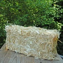 Richland Seasonal Parties Straw Bales 16" Large