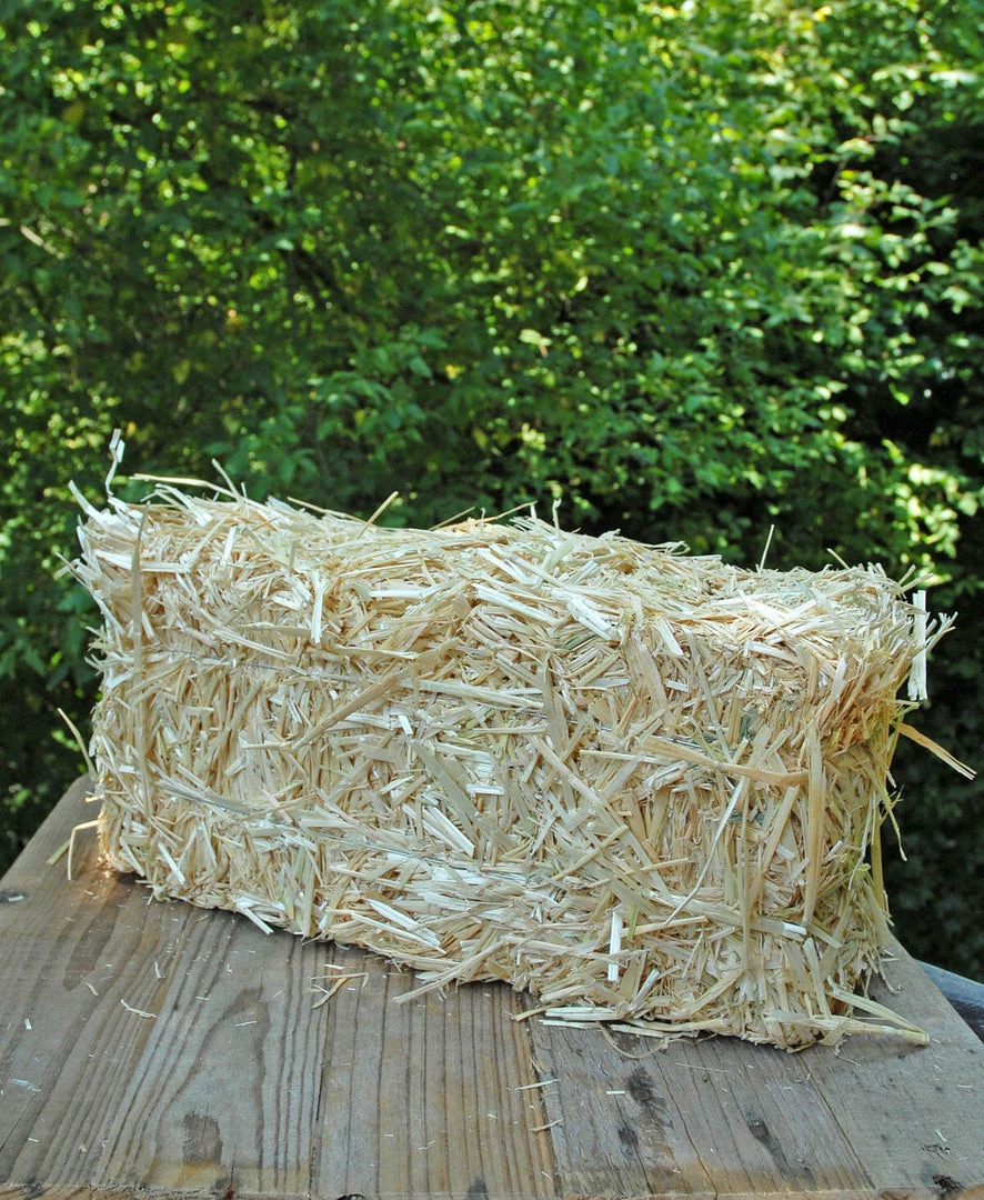Richland Seasonal Parties Straw Bales 16" Large 1 Richland Seasonal Parties Straw Bales 16" Large