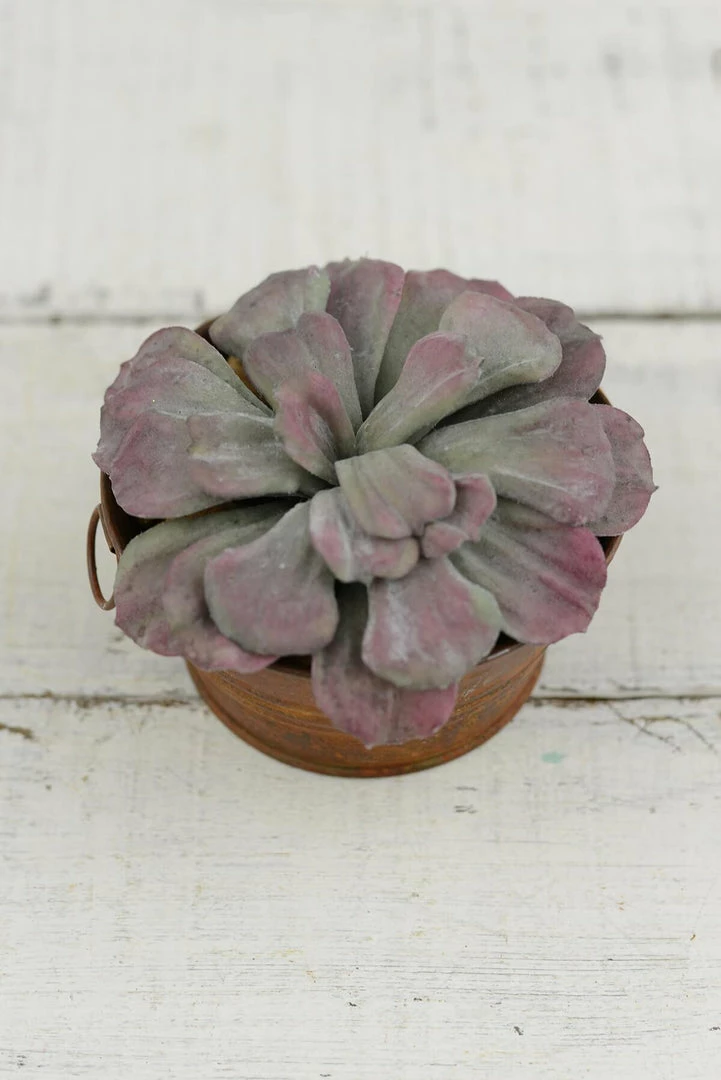 Richland Mauve Aeonium Artificial Succulent Plant 7x3 1 Richland Mauve Aeonium Artificial Succulent Plant 7x3