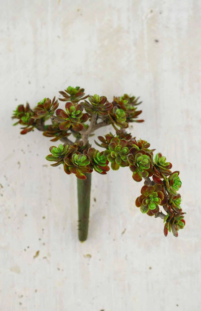 Richland Sedum Succulent Floral Pick Burgundy 5" X 6.5" Seasonal Parties 1 Richland Sedum Succulent Floral Pick Burgundy 5" X 6.5" Seasonal Parties