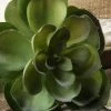 Richland Christmas Green Echeveria Artificial Succulent 6in Natural Touch