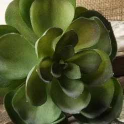 Richland Christmas Green Echeveria Artificial Succulent 6in Natural Touch