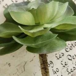 Richland Christmas Green Echeveria Artificial Succulent 6in Natural Touch