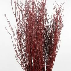 Richland Natural Red Huckleberry Branches Seasonal Parties