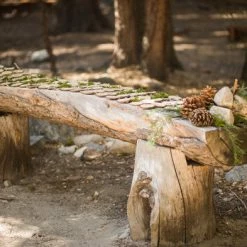 Richland 24 Birch Tree Round Pieces 1.5" -2.75" Bachelorette Party