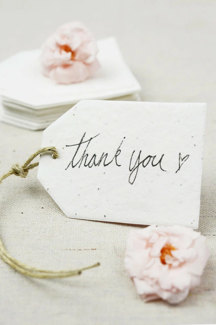 Richland 32 Large Handmade Seeded Hang Tags 2.5" X 3" Seasonal Parties