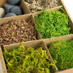 Richland Terrarium Kit With Bark,Asst Mosses, Stones And Lichen