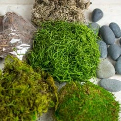 Richland Terrarium Kit With Bark,Asst Mosses, Stones And Lichen
