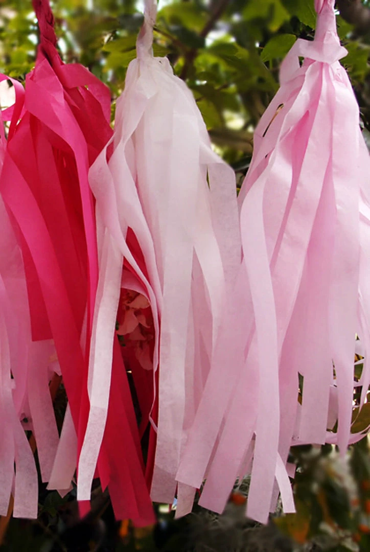 Save-On-Crafts Bachelorette Party Tissue Paper Tassel Garland Kit (20 Tassels)- Pink Party 1 Save-On-Crafts Bachelorette Party Tissue Paper Tassel Garland Kit (20 Tassels)- Pink Party