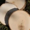 Richland Tree Slice Wood Round 7-9" With Bark Edges