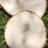 Richland Extra Large Tree Slice 11-18 In Basswood Country Round