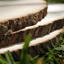 Richland Extra Large Tree Slice 11-18 In Basswood Country Round