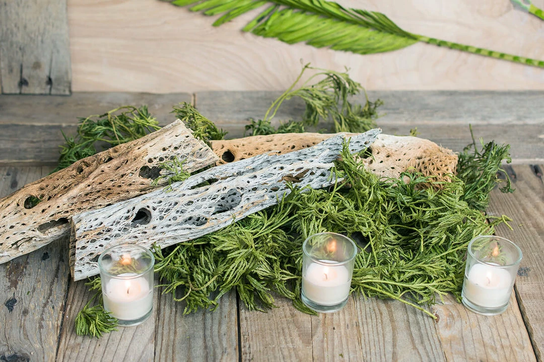 Richland Christmas Natural Preserved Fountain Vine Sections 4oz Bag 2 Richland Christmas Natural Preserved Fountain Vine Sections 4oz Bag